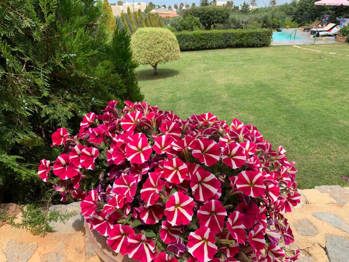 Golden Crest Villa Hersonissos  Bagian luar foto