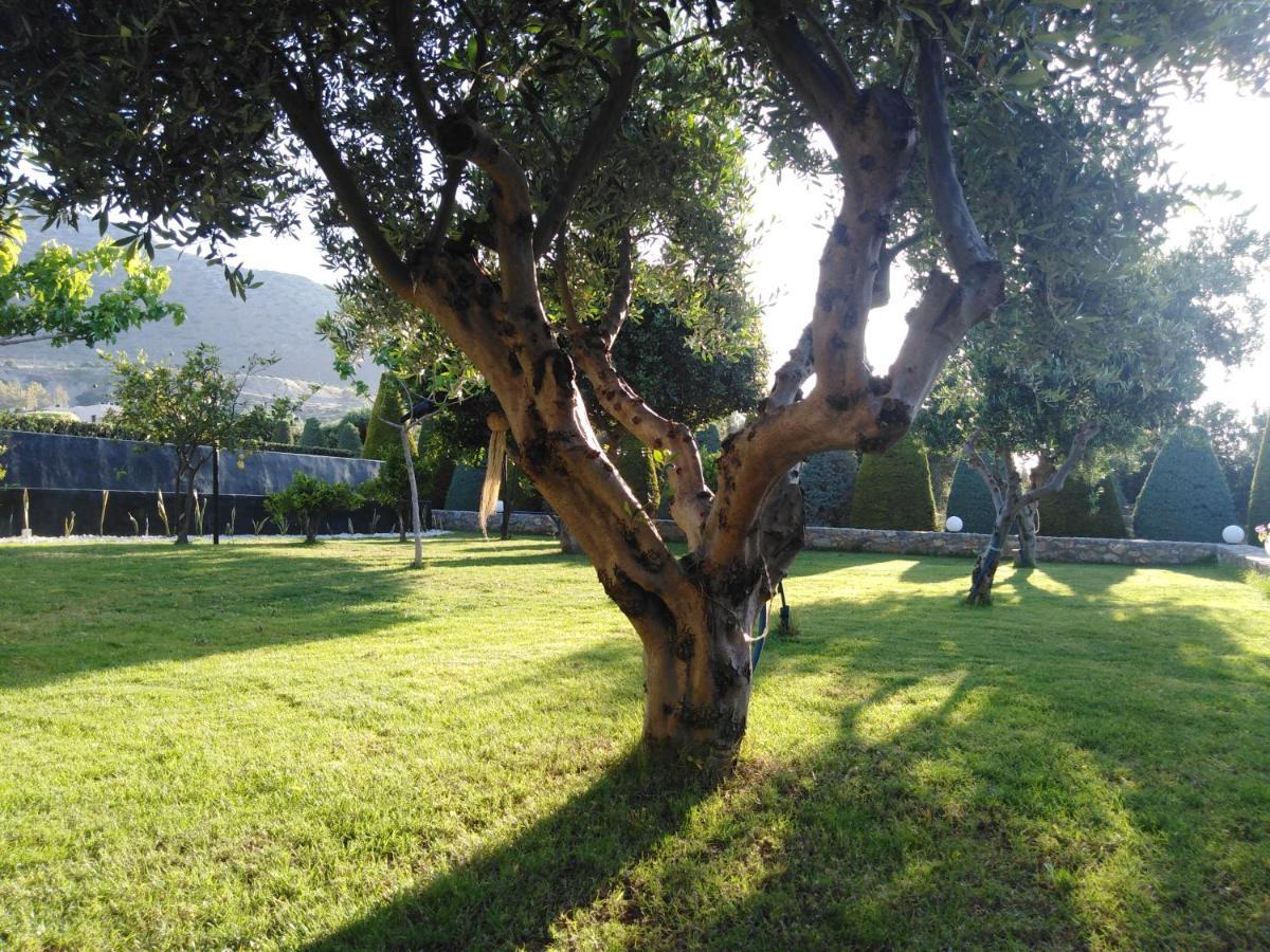Golden Crest Villa Hersonissos  Bagian luar foto