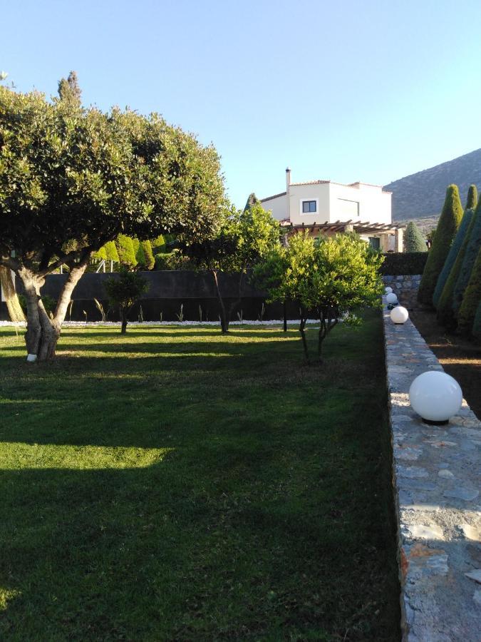 Golden Crest Villa Hersonissos  Bagian luar foto